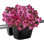 Prosperplast Květináč na balkónové zábradlí Crown 240 - barva antracit