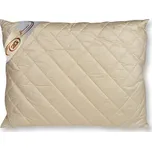 2G Lipov Polštář Cashmere 70x90 cm