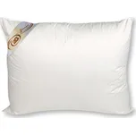 2G Lipov Luxusní péřový tříkomorový polštář Regina – Trio 70x90 cm