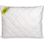 2G Lipov Polštář Aloe Vera ve více rozměrech 50x60 cm