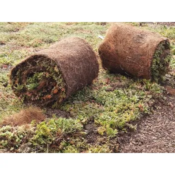 Koberec Předpěstovaný rozchodníkový koberec – SedumTopMat S/5