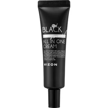 Pleťový krém Mizon Black Snail All In One Cream pro normální a smíšenou pleť 35 ml