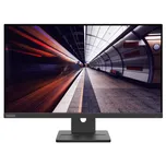 23.8" LCD Lenovo ThinkVision E24-30 1707332 černá