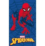 Dětský froté ručník 30x50 - Spider-man Pavoučí muž