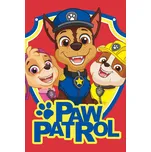 Dětský froté ručník 30x50 - Tlapková patrola Vždy s úsměvem