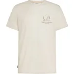 Icebreaker Merino 150 Tech Lite SS Tee IB Wordmark Men ECRU HTHR bílá S