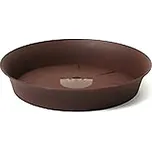 podmiska TULIPÁN d50 ČOKO