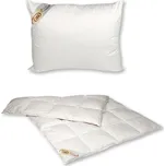 2G Lipov Ložní péřová souprava Regina I. 135x200 cm / 70x90 cm