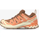 Salomon Xa Pro 3D V9 Gtx EUR 41 1/3