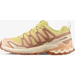 Salomon XA Pro 3D V9 EUR 40