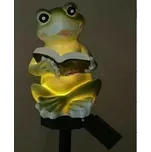 APT ZD50W LED SOLÁRNÍ ŽÁBA LAMPA