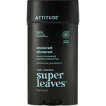 Attitude Přírodní pánský deodorant Super Leaves Eucalyptus & Sage (Deodorant) 75 g + 2 měsíce na vrácení zboží
