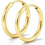 Soliter Zlaté náušnice kruhy 231 001 00333 + 2 měsíce na vrácení zboží