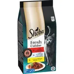 Sheba Fresh Cuisine Taste of Paris 6x…