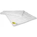 2G Lipov Ložní soupravy Aloe Vera extra hřejivé akce 1+1 (2 přikrývky+2 polštáře) 220x200 cm / 2x70x90 cm