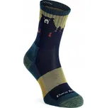Ponožky Darn Tough Bear Town Micro Crew LW - teal 38-40,5