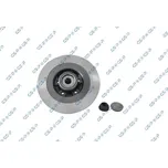 Brzdový kotouč GSP (9230142K)