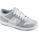 Šedé chlapecké tenisky Nike Dunk Low GS Velikost: 38,5