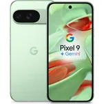 Google Pixel 9 128GB Wintergreen