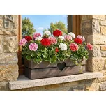 AMADEA Dřevěný obal s truhlíkem se srdcem tmavý, 52x21,5x17cm Český výrobek