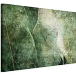 Malba na plátně Green Revolution, smaragdově zelená, šedobéžová, 60 cm, 40 cm, 1,2 cm