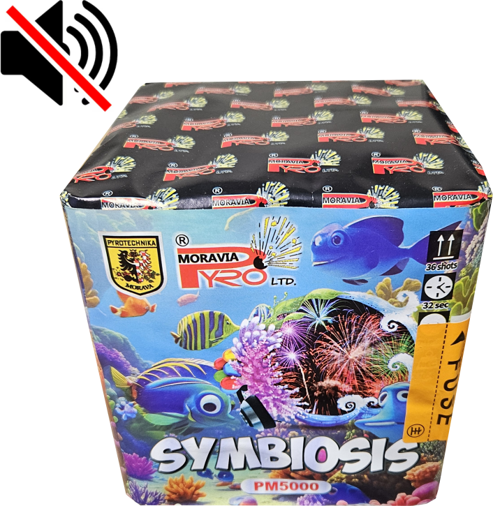 SYMBIOSIS - tichý ohňostroj 36 výstřelů, cal. 20 mm