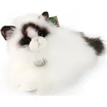 Rappa Plyšová kočka Ragdoll ležící 35 cm ECO-FRIENDLY