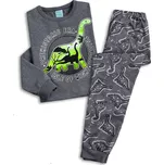 Chlapecké pyžamo svítící ve tmě KYLY DINO PREHISTORIC šedé Velikost: 128