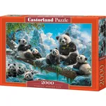 Castorland Panda's Winter Fun 2000…