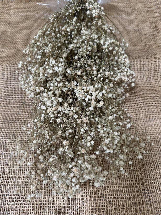 Gypsophila 100gr. natur stabilizovaná