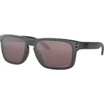 Brýle OAKLEY Holbrook Steel/Prizm Daily Polarized