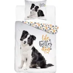 DETEXPOL Povlečení Border kolie Life Bavlna, 140/200, 70/80 cm
