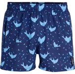 chlapecké koupací šortky art. 6f418, 2025, varianta: 146