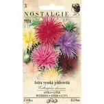 Nostalgie Astra vysoká jehlicovitá mix…