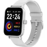 Smart hodinky CARNEO Versa HR+silver smart watch
