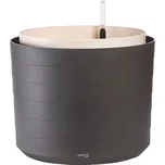 Obal BERBERIS samozavlažovací velkoobjemový d55x47cm