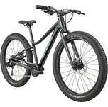 Cannondale Trail Plus 24" Black Pearl