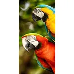 Froté osuška PAPOUŠCI ARA 70 x 140 cm