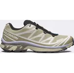 Salomon XT-6 Gore-Tex Eucalyptus/Silves/Cosmic 41 1/3