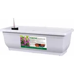 Nohel Garden Torenie Modern 50 cm