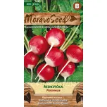 MoravoSeed Ředkvička Poloneza kulatá…
