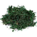 Stoklasa Dekorační mech zelený 25 g