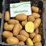 Europlant Sadbové brambory Glorietta…
