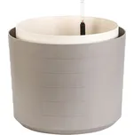 Plastia Berberis 46 cm