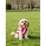 Sinsay - Valentýnský kostým pro mazlíčka s pruhy - vícebarevná - 655HK-MLC - 655HK-MLC-M