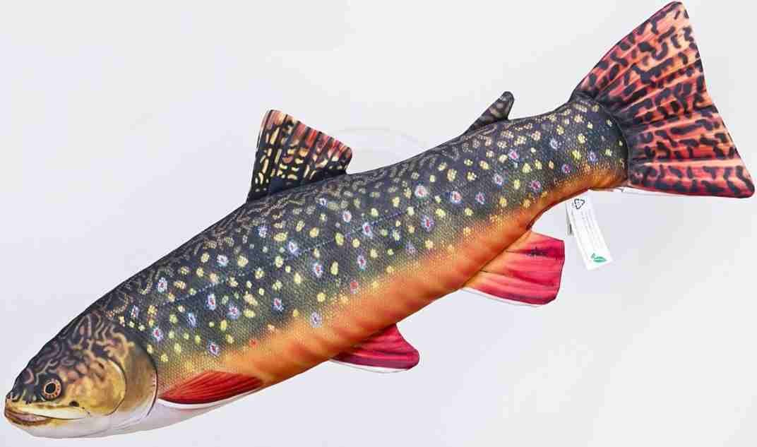 Siven americký polštář 62cm