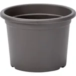 Plastia Narcis 60 cm