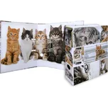 HERMA Pákový pořadač A4 70 mm