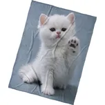 TipTrade Mikroplyšová deka 150 x 200 cm