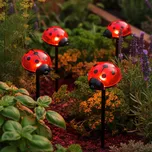 Wenko LED zahradní zápich 4 ks beruška